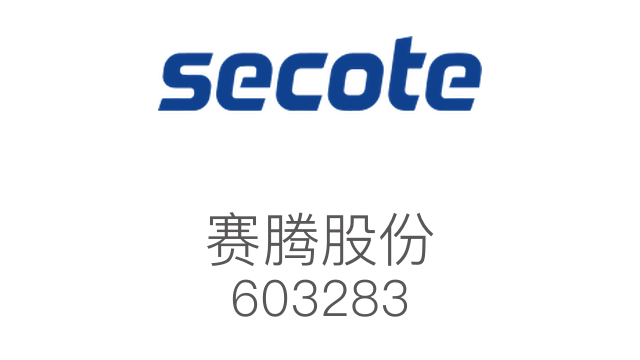 賽騰股份 603283